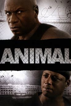 animal yify